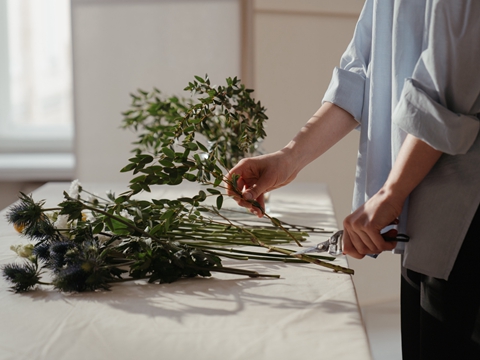 德國包裝法注冊全流程:2025年新指南 德國包裝法注冊全流程:2025年新指南