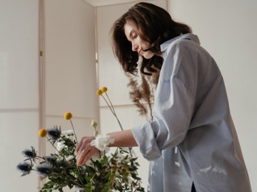 如何快速查詢英屬維爾京群島注冊(cè)公司？全攻略！