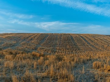 海南公司注冊專業辦理，全程合規保障